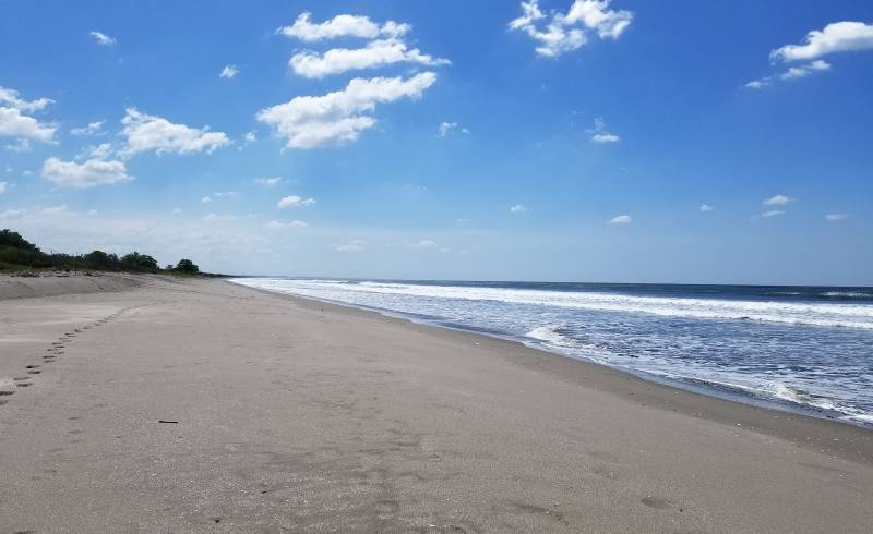 Foto af San Diego beach med grå sand overflade