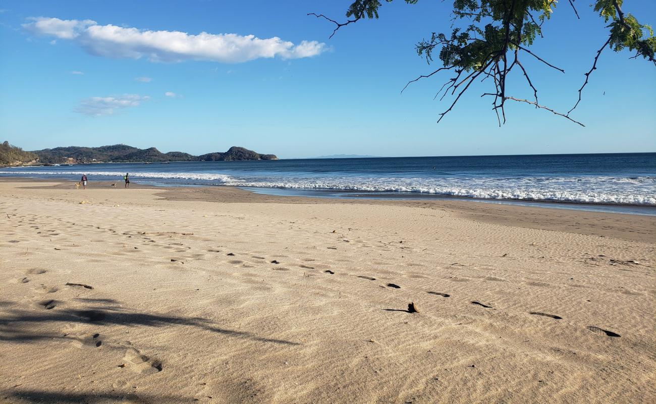 Foto af Colorado Strand med lys fint sand overflade