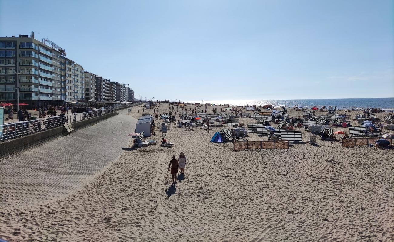 Foto af De Panne Strand med lys sand overflade