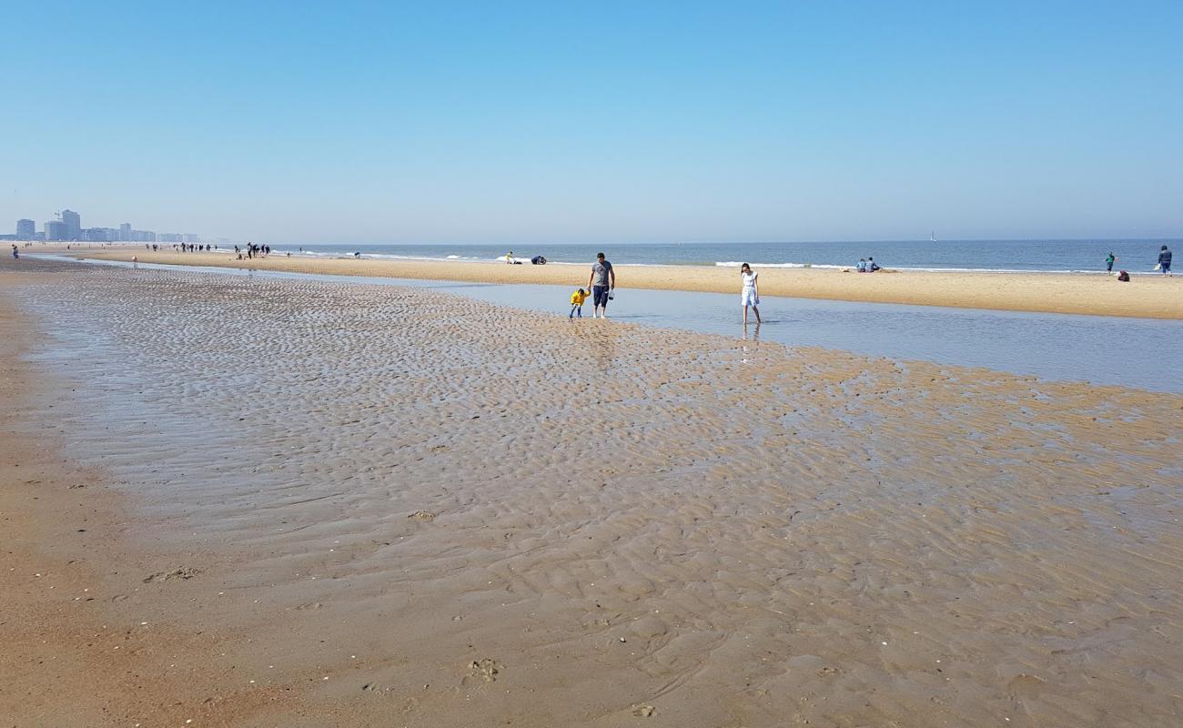 Foto af Stranden i Oostende med lys sand overflade