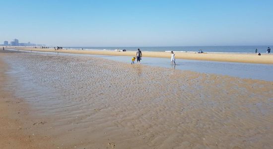 Stranden i Oostende