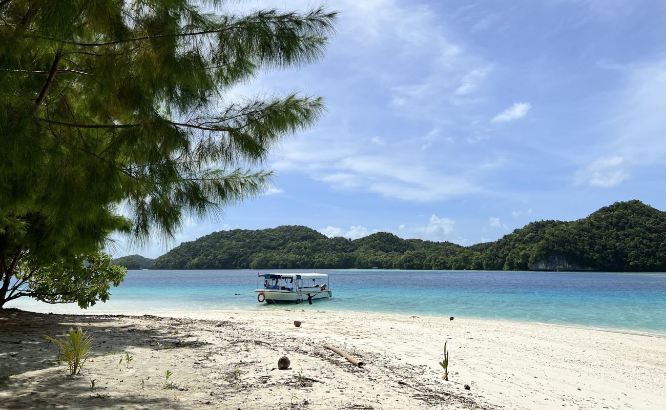 Foto af Ngermeaus Island Park med hvidt sand overflade