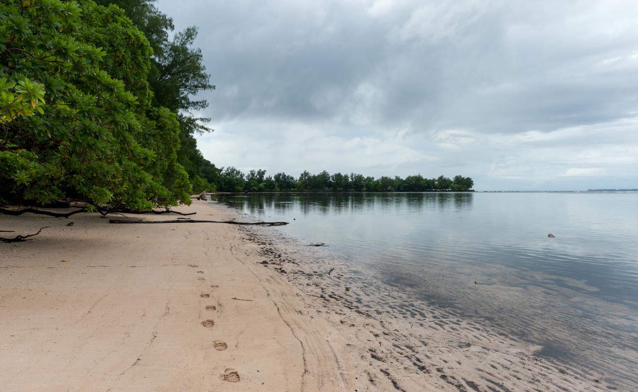 Foto af White Beach med lys sand overflade