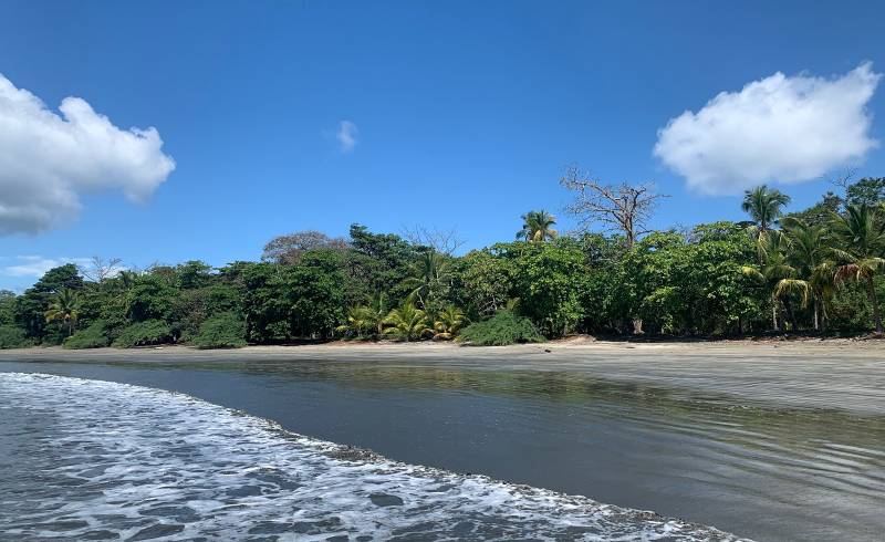 Foto af Playa Coca med lys sand overflade