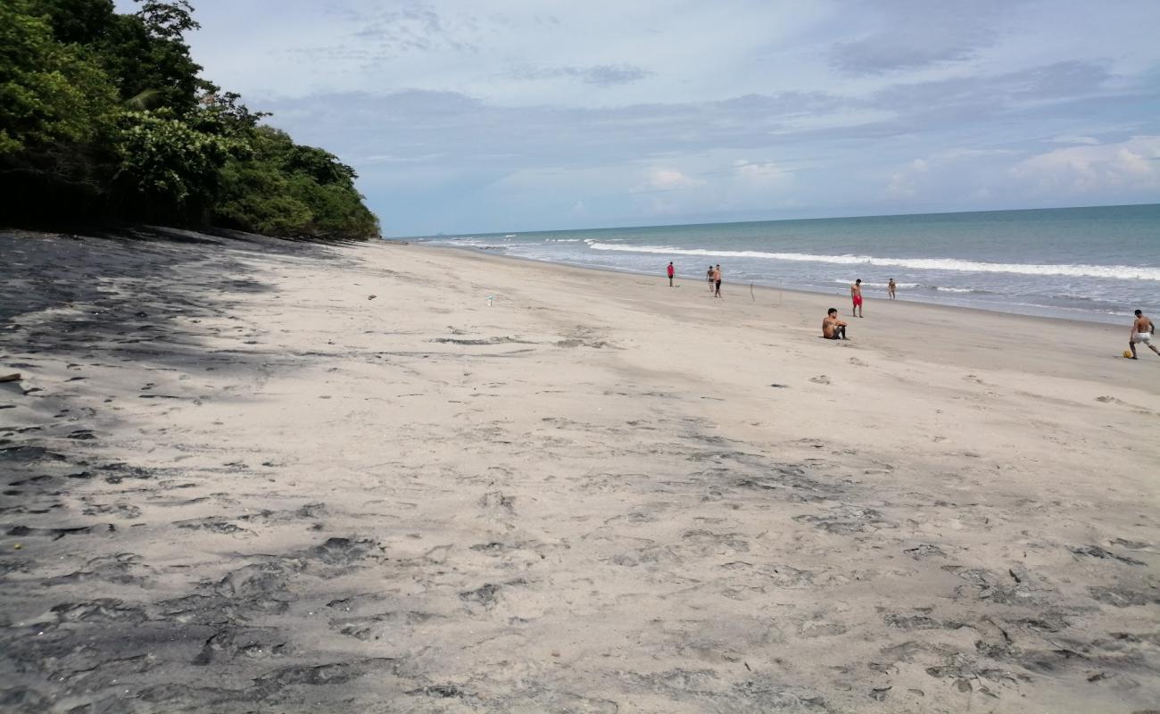 Foto af Los Panama Beach med grå sand overflade