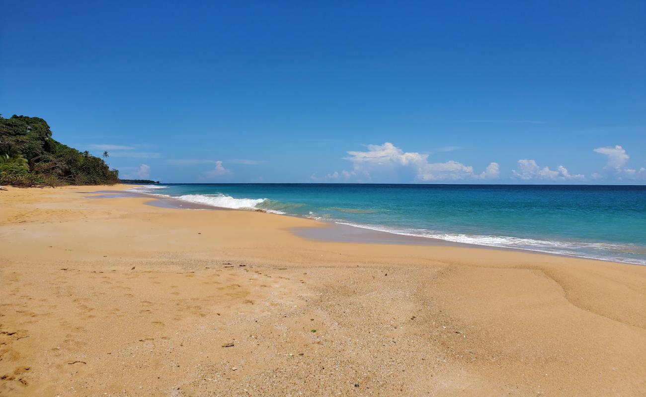 Foto af Escondida Strand med lys sand overflade