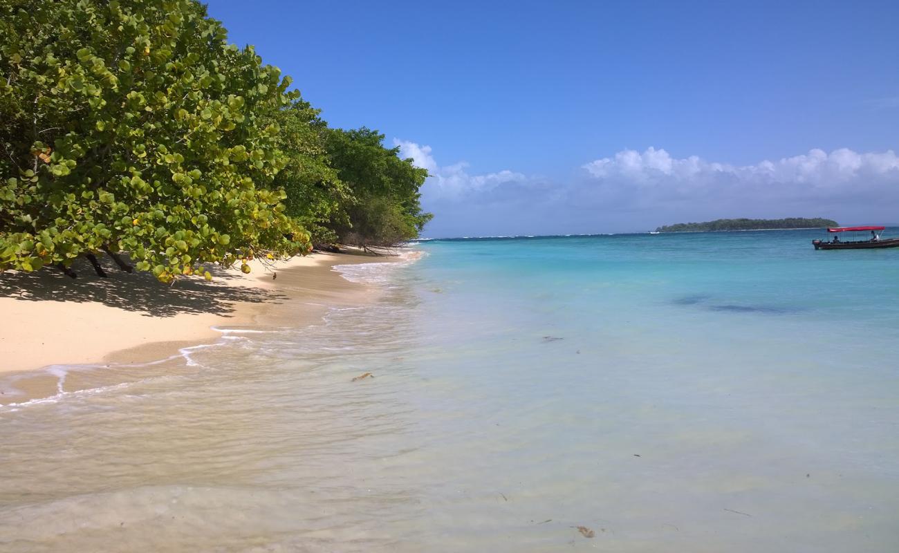 Foto af Cayo Zapatilla Beach II med lys sand overflade