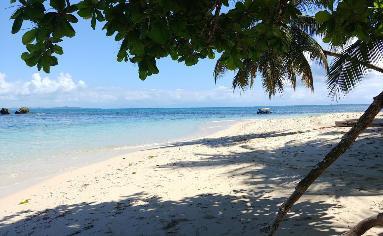 Foto af Cayo Zapatilla Beach med lys sand overflade