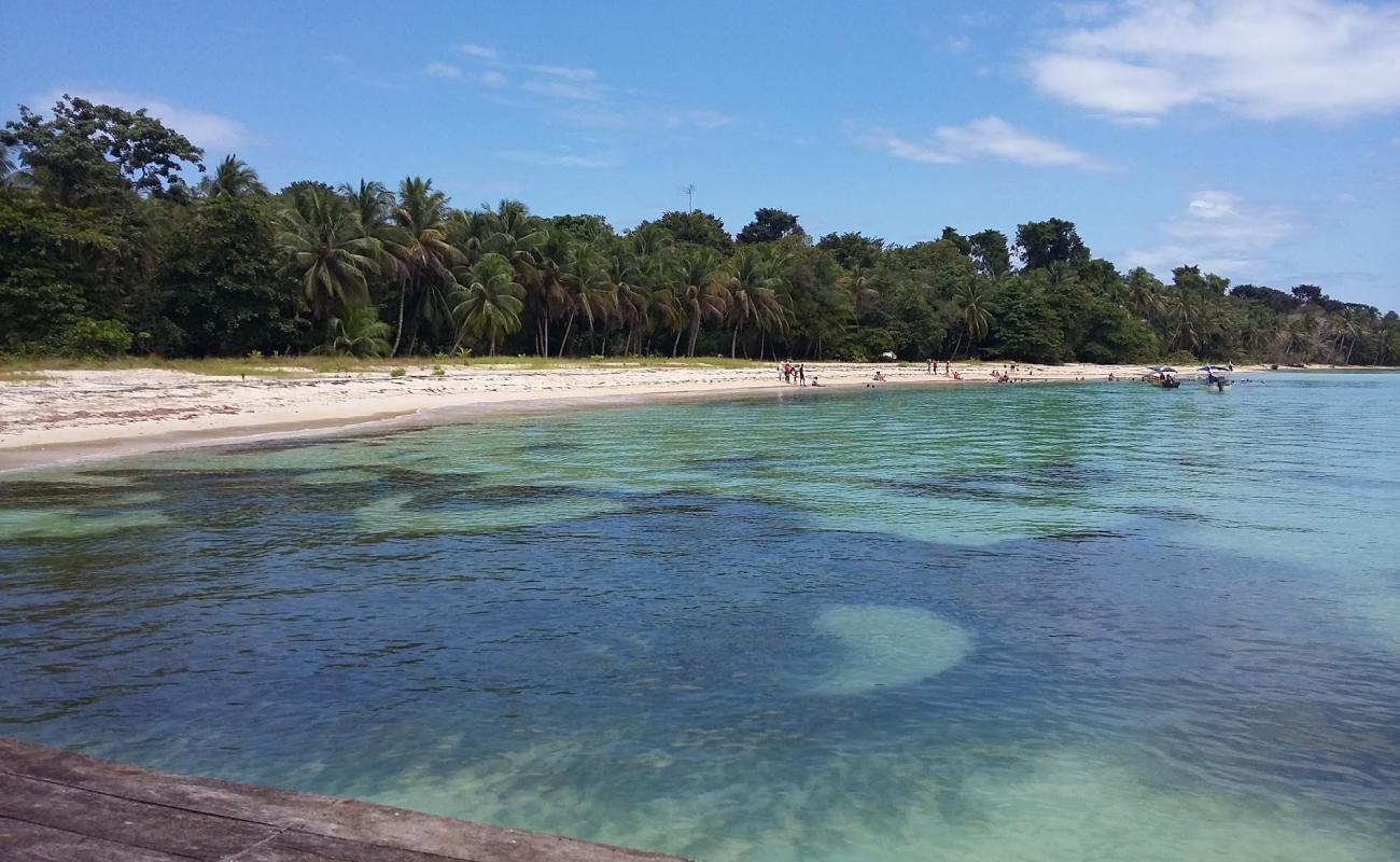 Foto af Salt Creek Beach med lys sand overflade