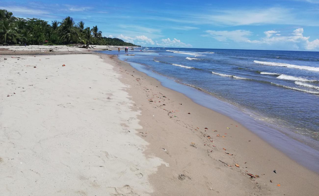 Foto af Calovebora Beach med lys sand overflade