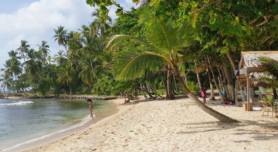 Mamey Island Strand