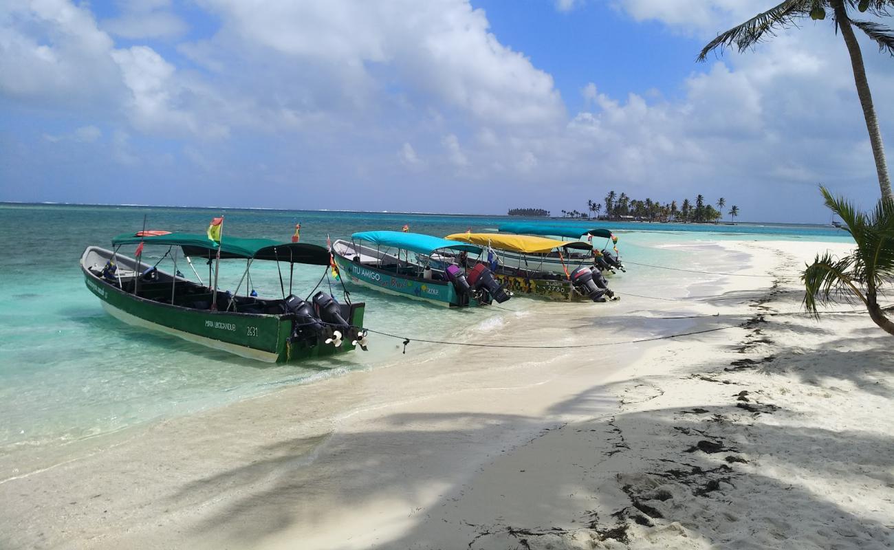 Foto af Needle Island Strand med hvidt sand overflade