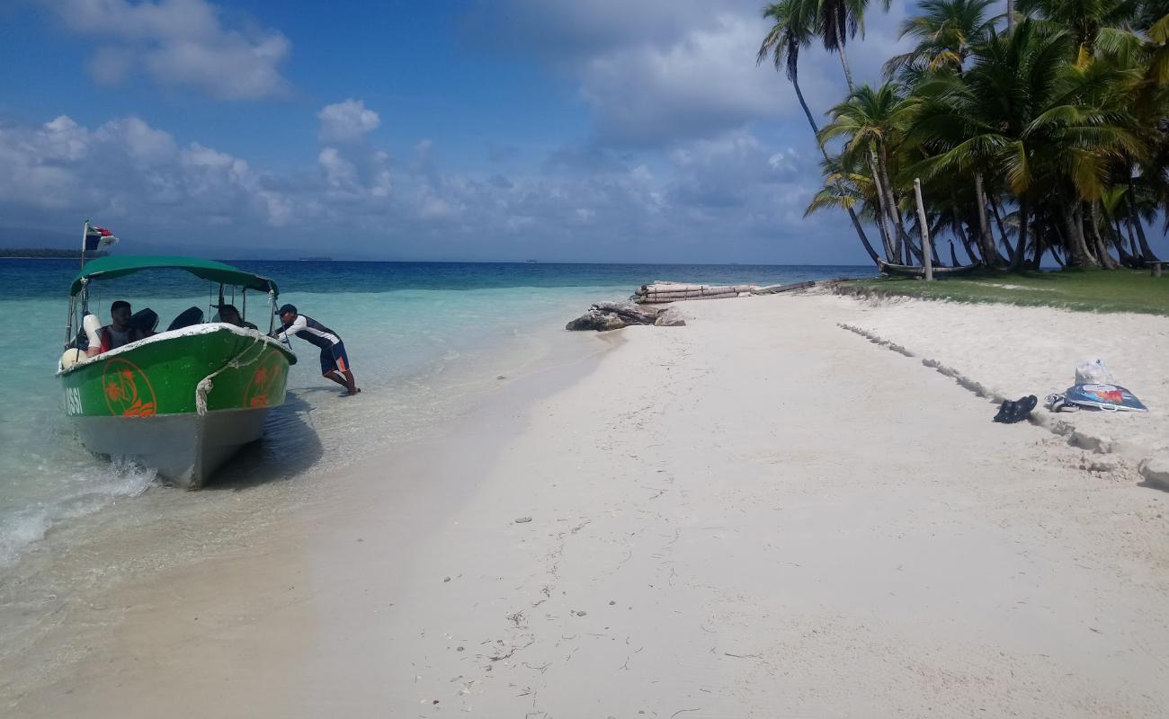 Foto af Lemon Island beach med hvidt sand overflade