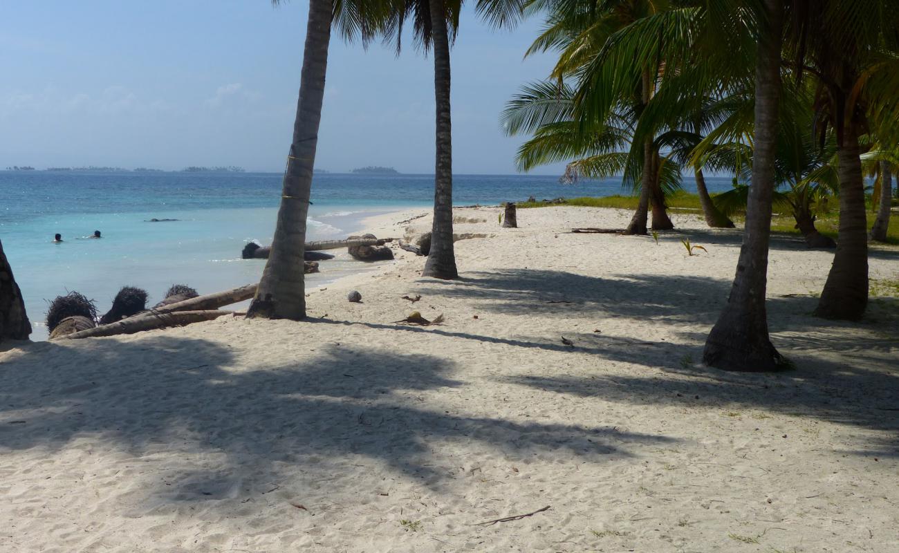 Foto af Saler beach med hvidt sand overflade