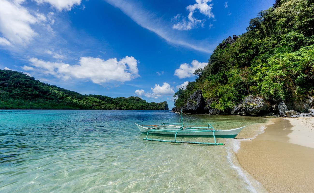 Foto af Bakal Island med lys sand overflade