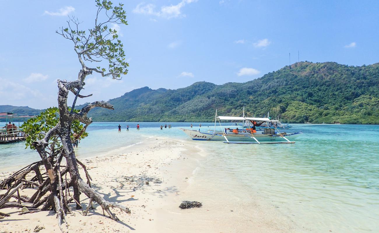 Foto af Snake Island Beach med lys sand overflade