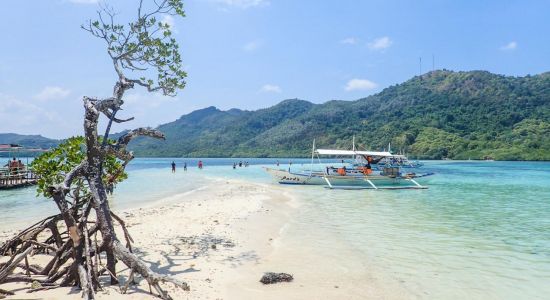 Snake Island Beach