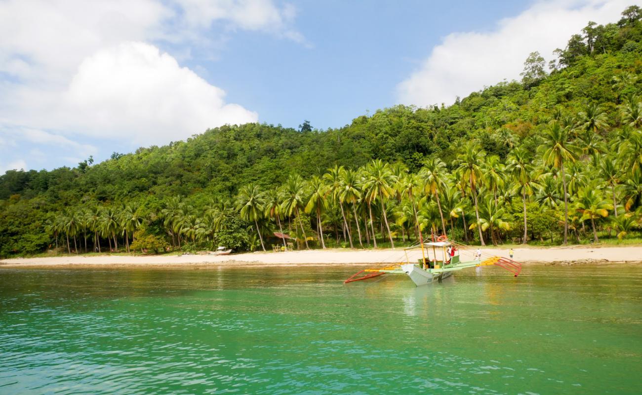 Foto af Love Rock Island Beach med lys sand overflade