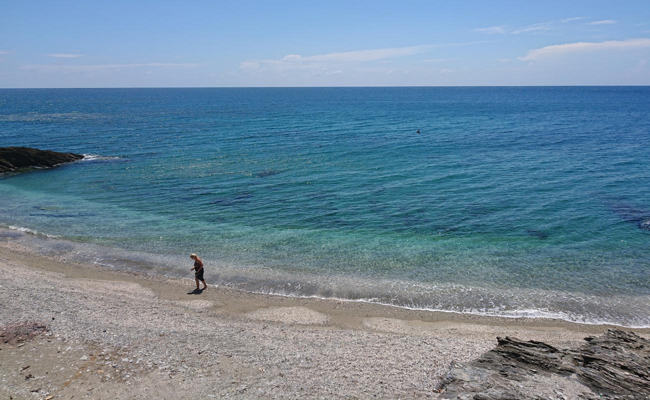 Foto af Campsite Thindog Beach med grå sten overflade