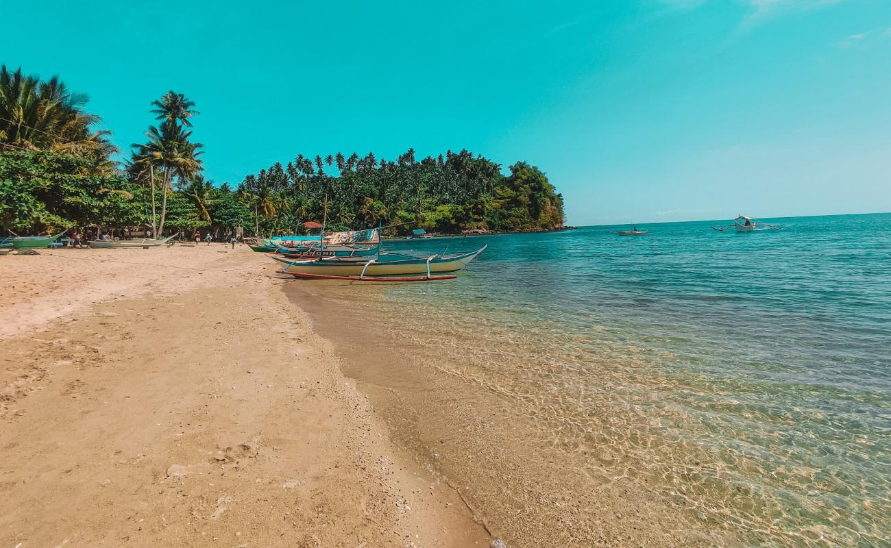 Foto af Polacay Beach med lys sand overflade