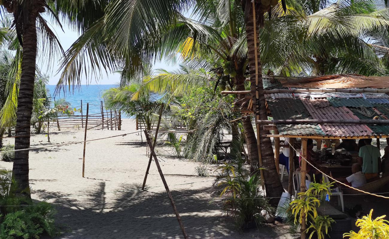 Foto af Mamburao Beach med grå sand overflade