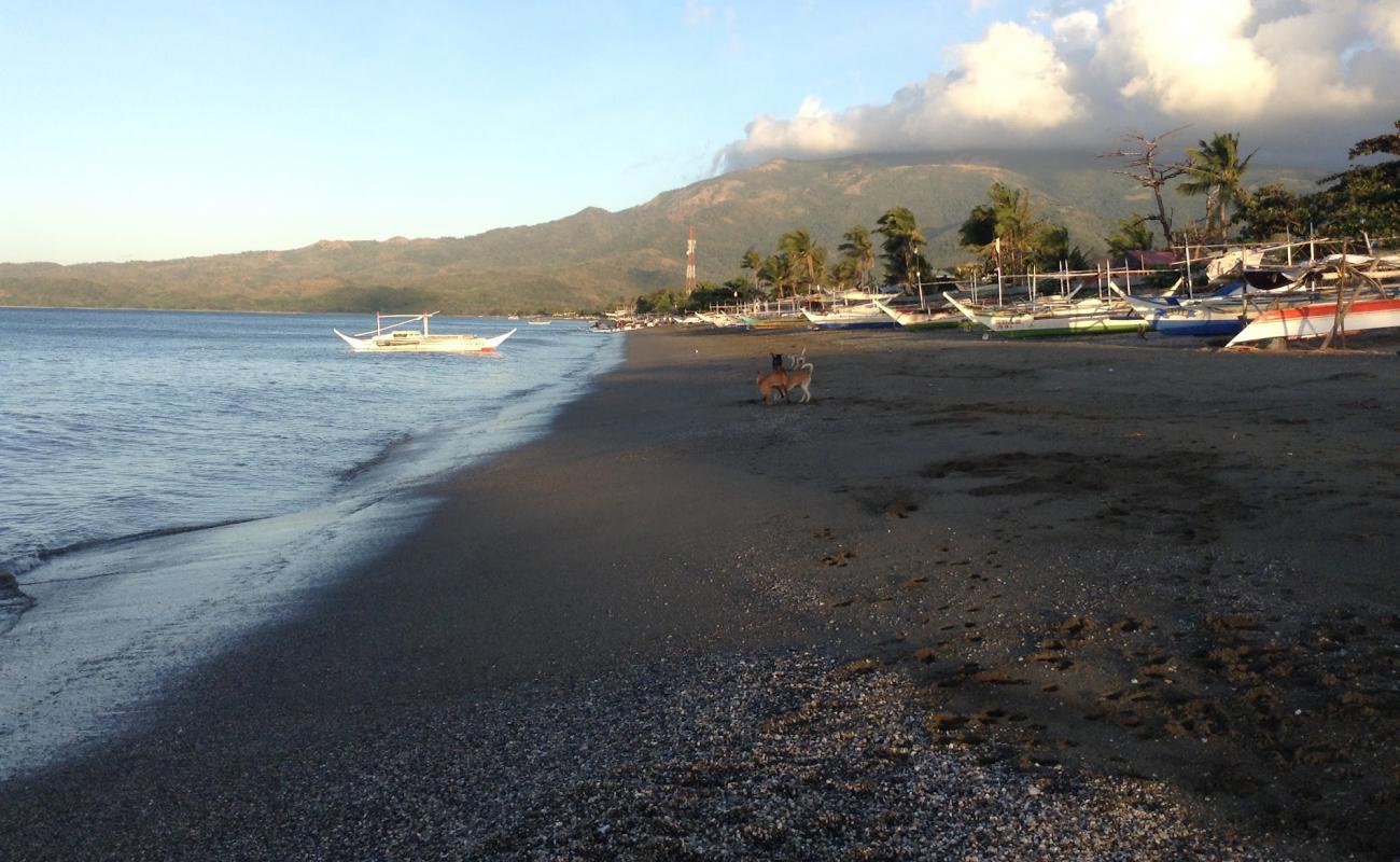 Foto af Paluan Beach med lyst sand & sten overflade