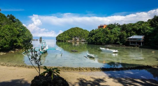 Tropical Mystique Beach