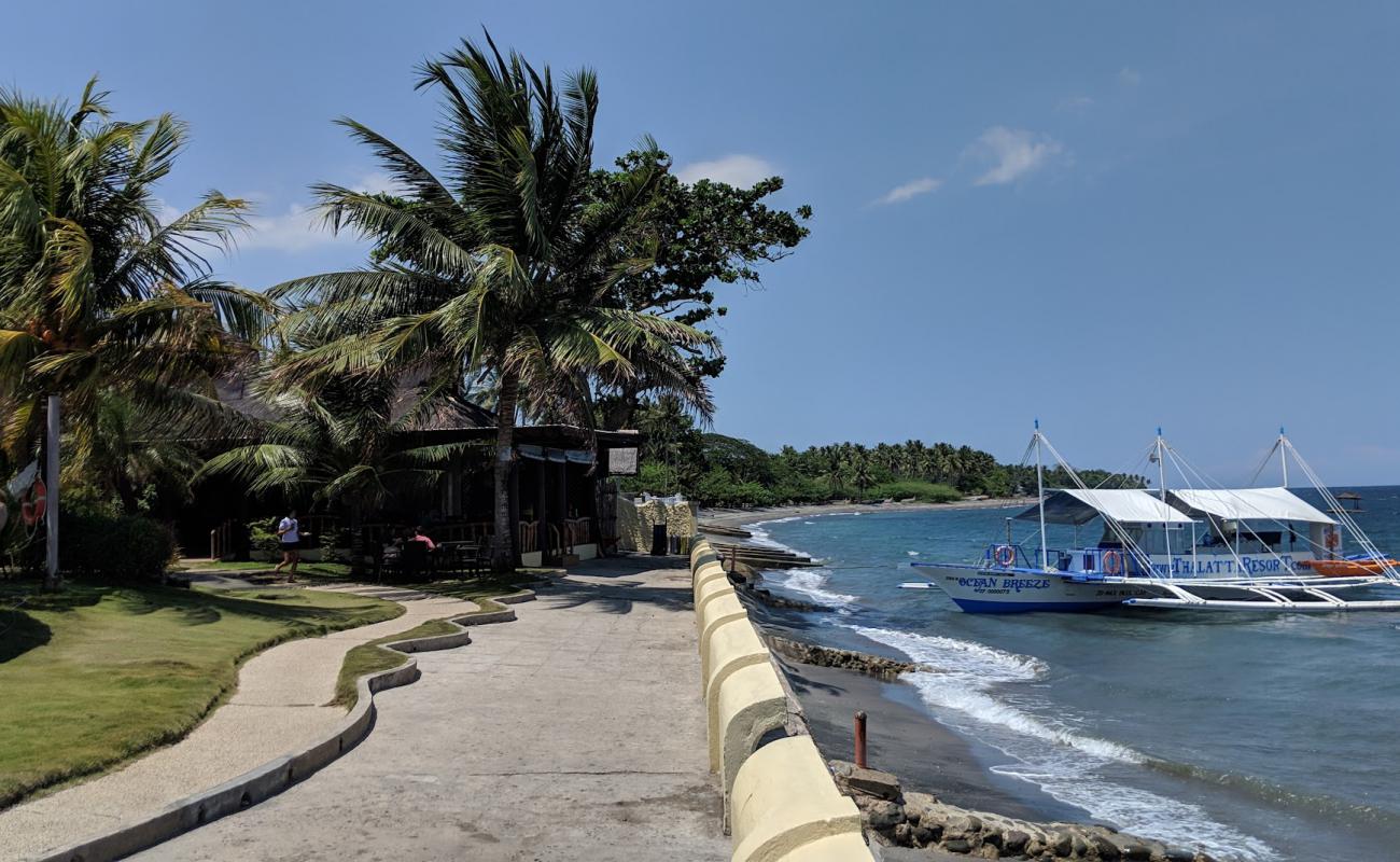 Foto af Zamboanguita Beach med grå sand overflade