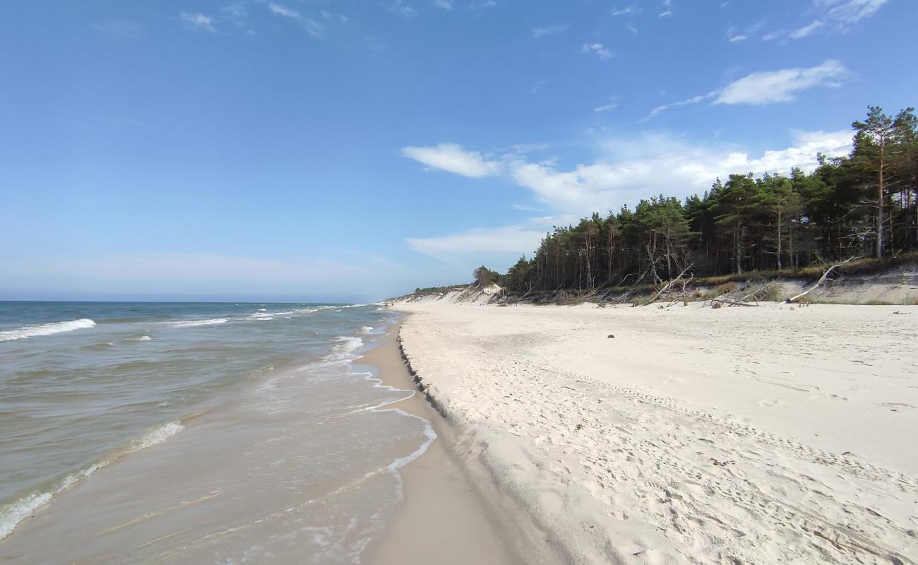 Foto af Cholpin Beach med lys sand overflade