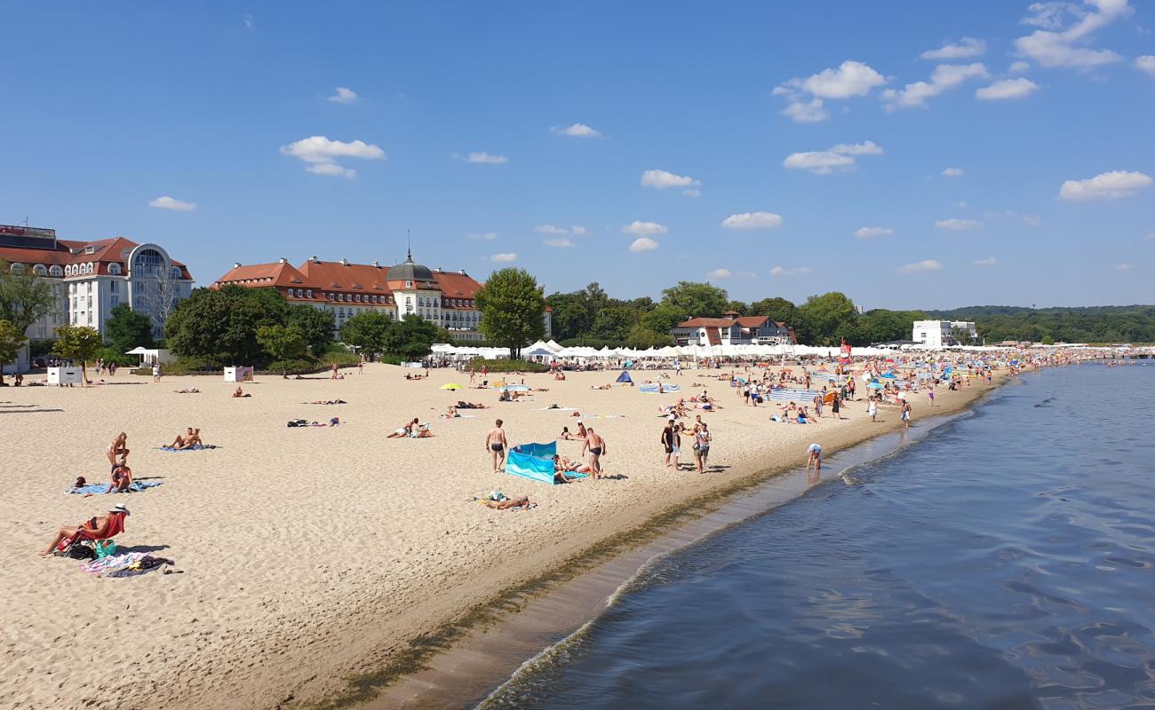 Foto af Plaza Sopot med lys fint sand overflade