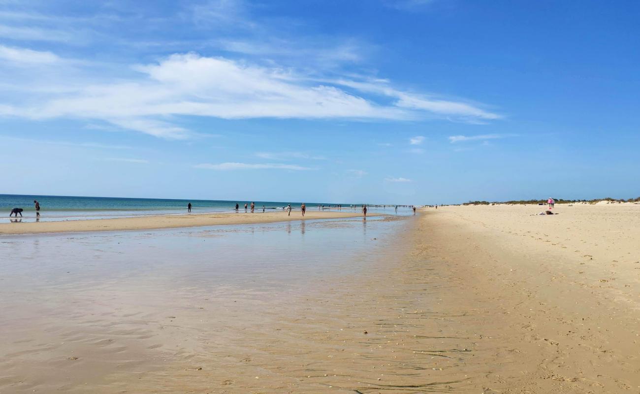 Foto af Manta Rota Strand med lys fint sand overflade