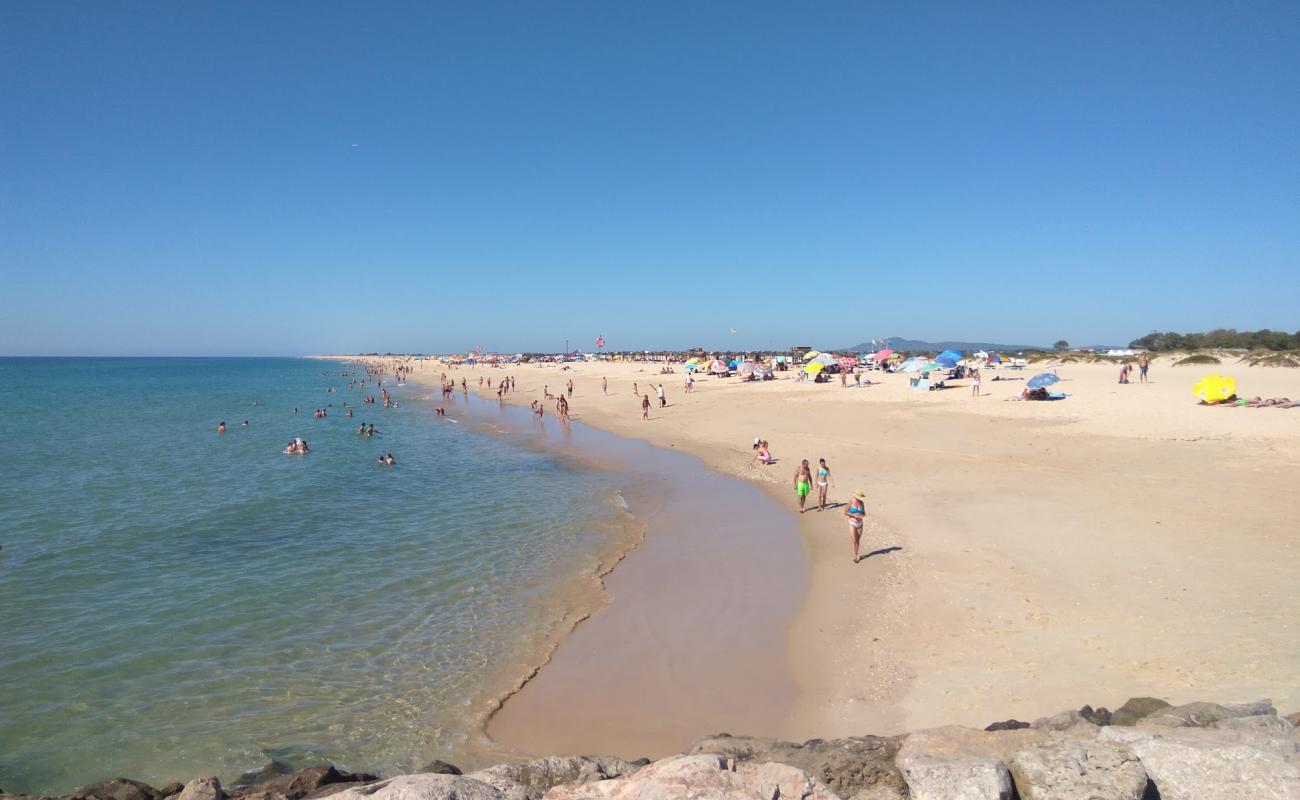 Foto af Tavira Island Strand med lys fint sand overflade