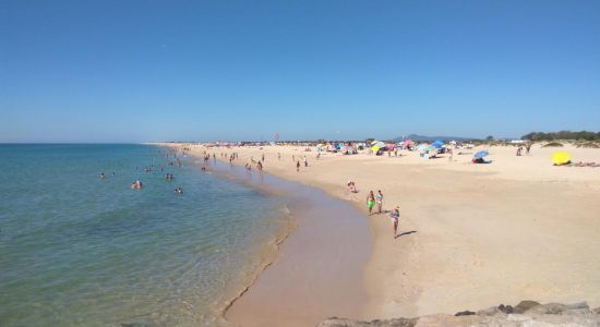 Tavira Island Strand