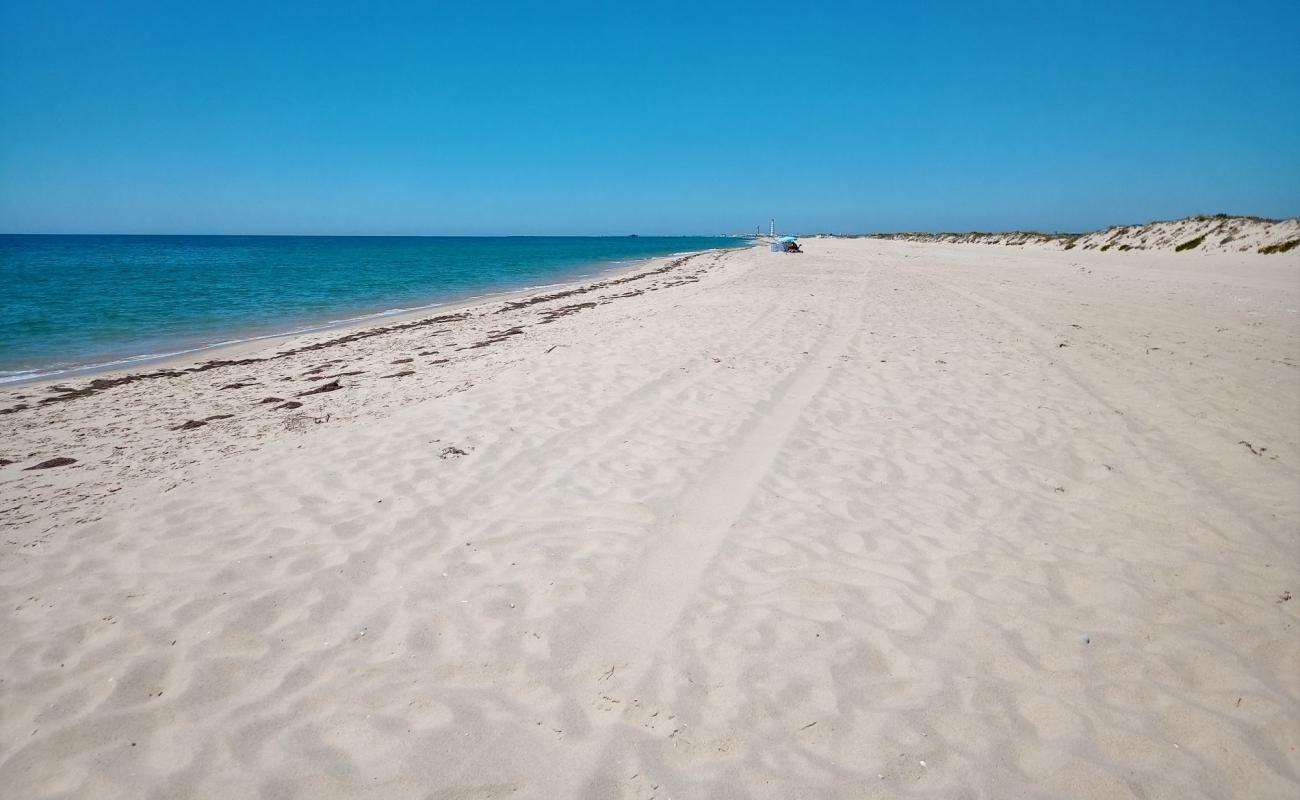 Foto af Ilha da Culatra med lys fint sand overflade