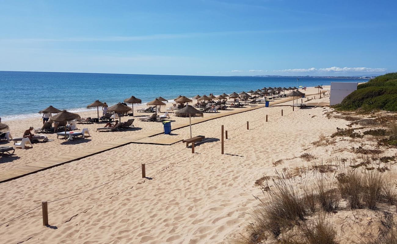 Foto af Quinta do Lago Strand med fin brunt sand overflade