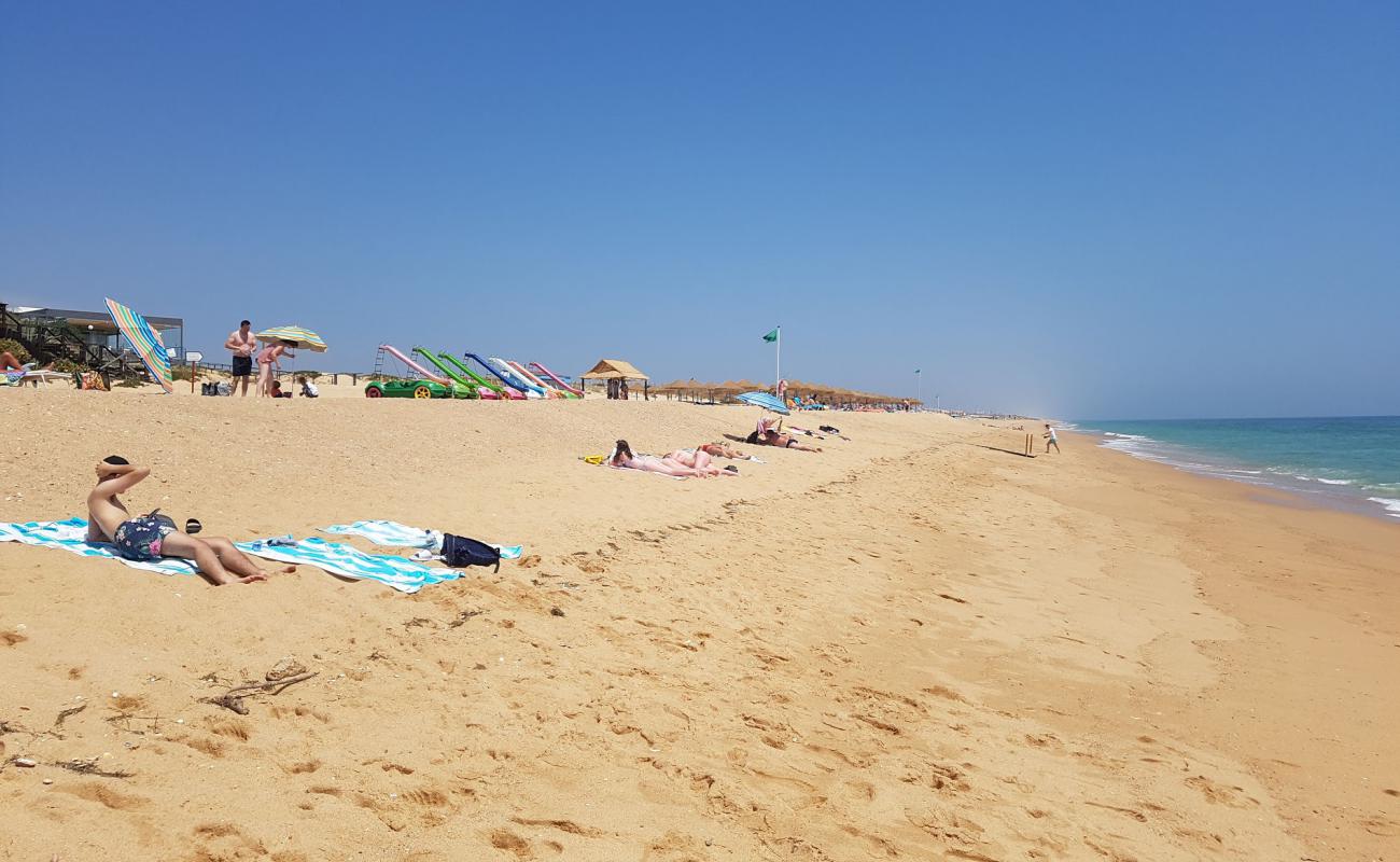 Foto af Stranden Garrao Nascente med fin brunt sand overflade