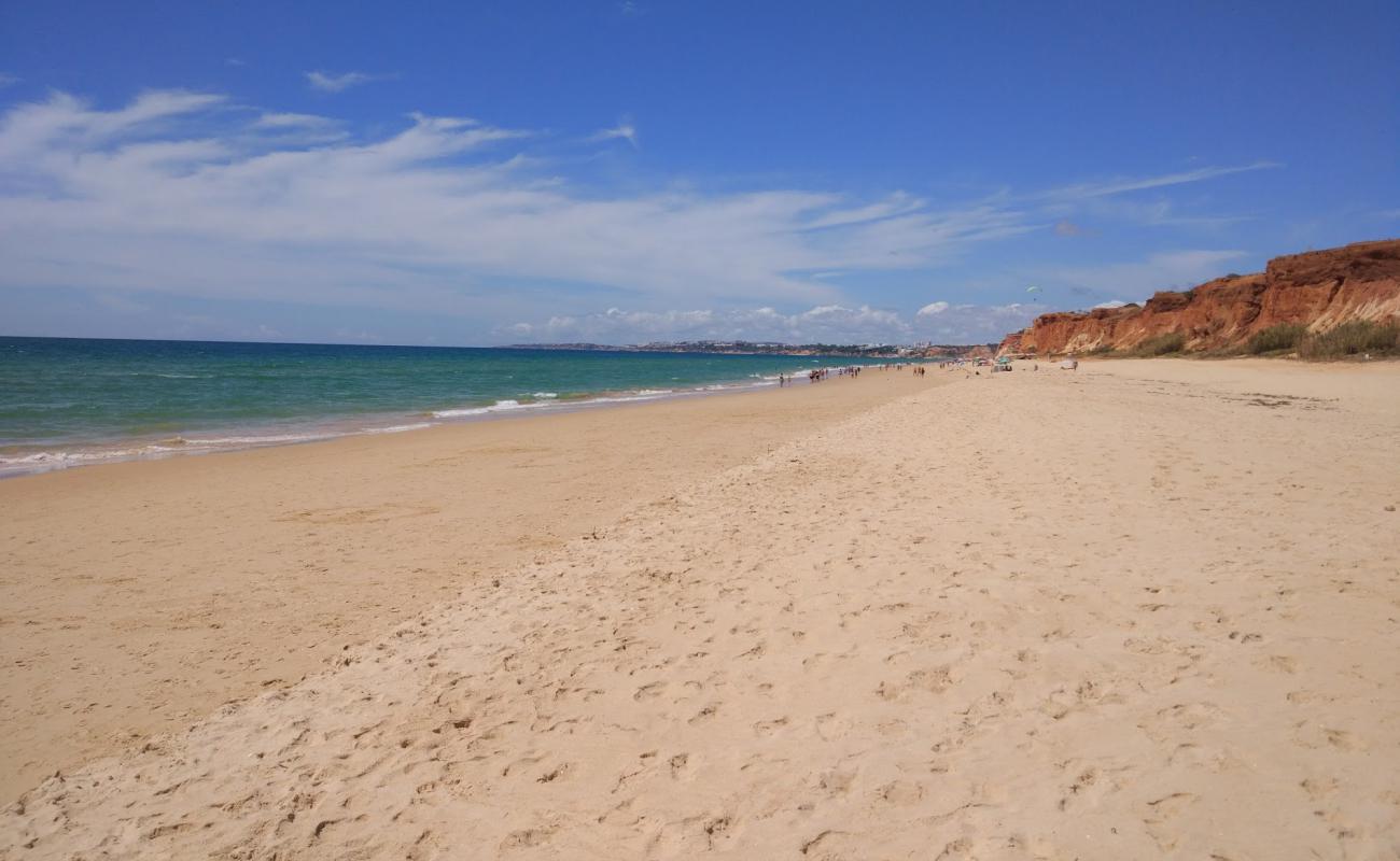 Foto af Tomater Strand med fin brunt sand overflade