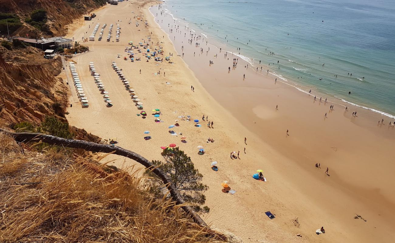 Foto af Barranco das Belharucas med fin brunt sand overflade