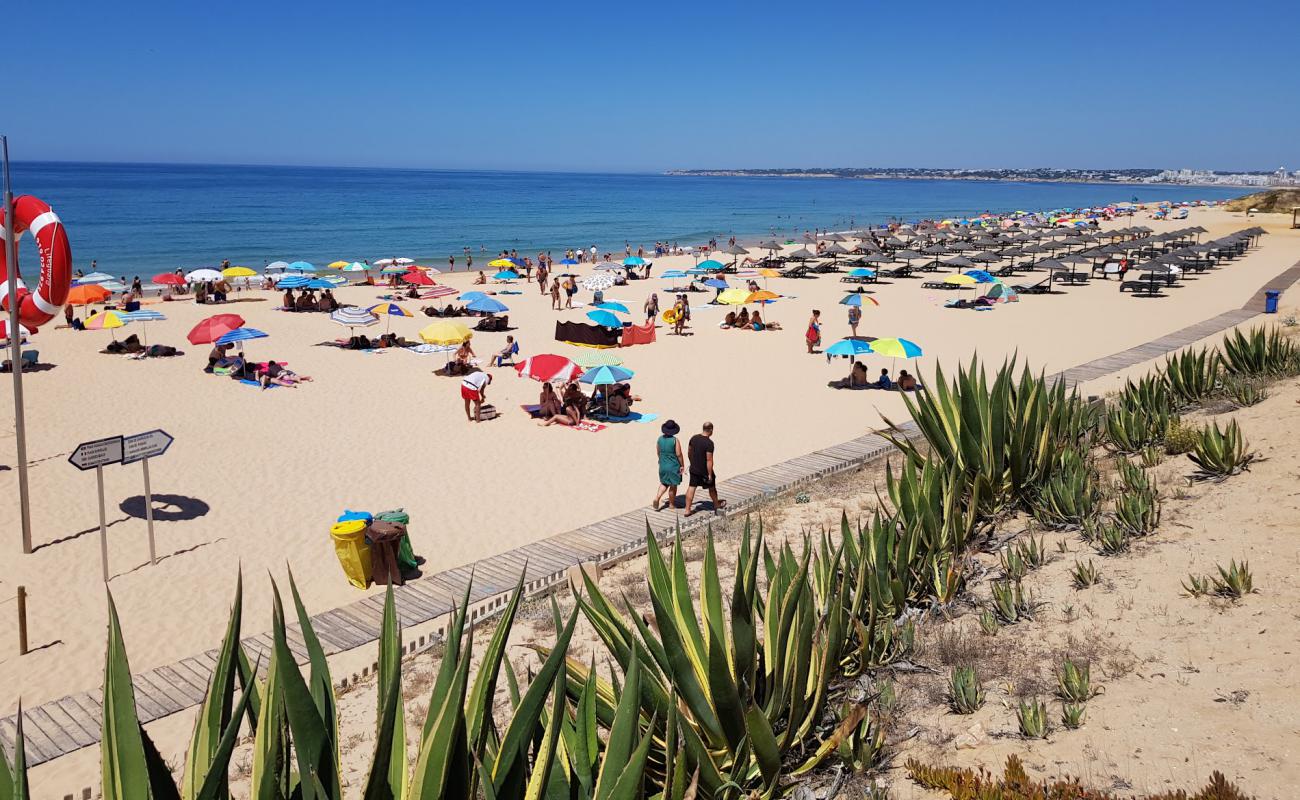 Foto af Praia da Gale II med fin brunt sand overflade