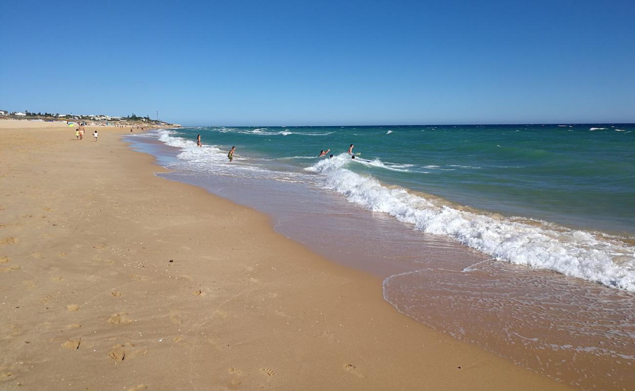 Foto af Praia dos Salgados med fin brunt sand overflade