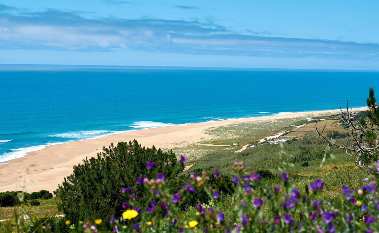 Foto af North Beach med lys fint sand overflade