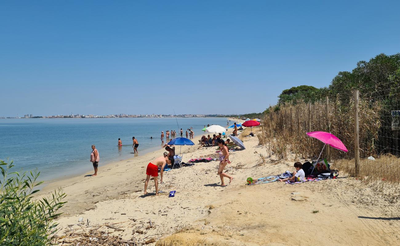 Foto af Praia da Ponta dos Corvos med lys sand overflade