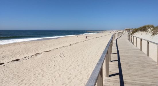 Praia de Sao Jacinto