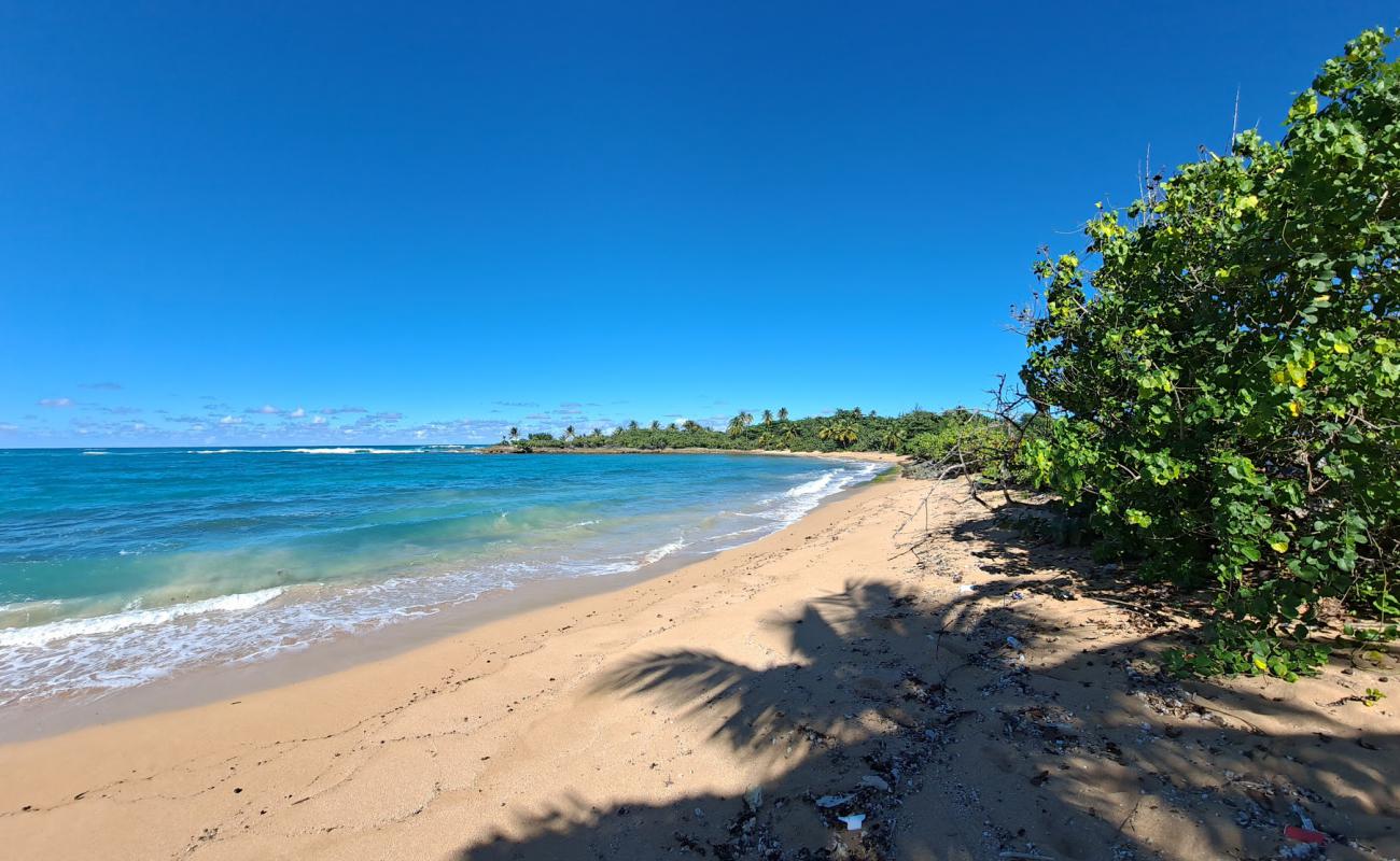 Foto af Aviones beach med lys fint sand overflade