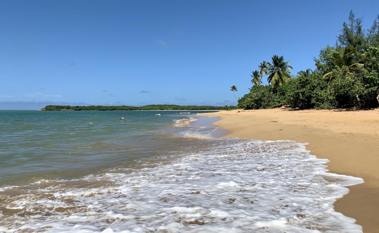 Foto af Se Pasa Bien beach med lys fint sand overflade