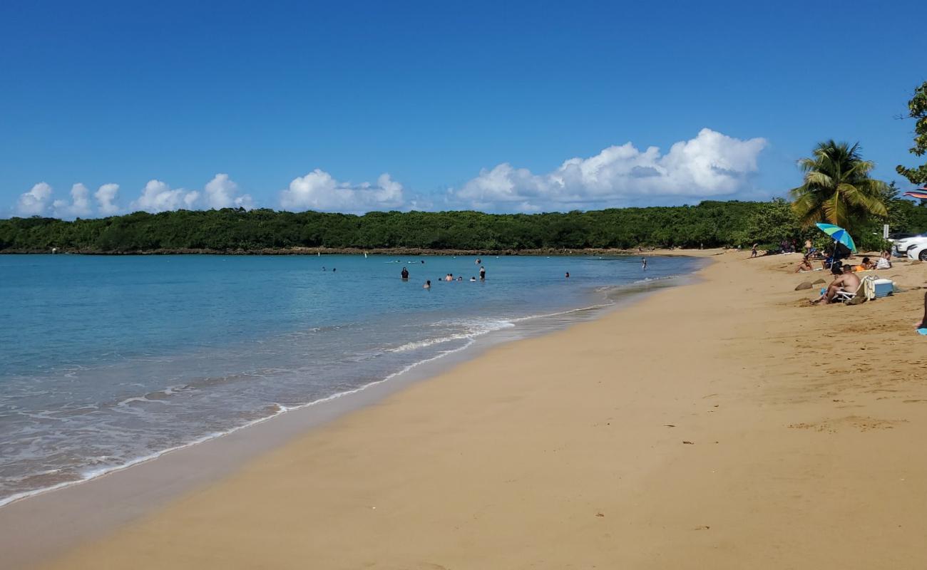 Foto af Playa Vacia Talega med lys fint sand overflade