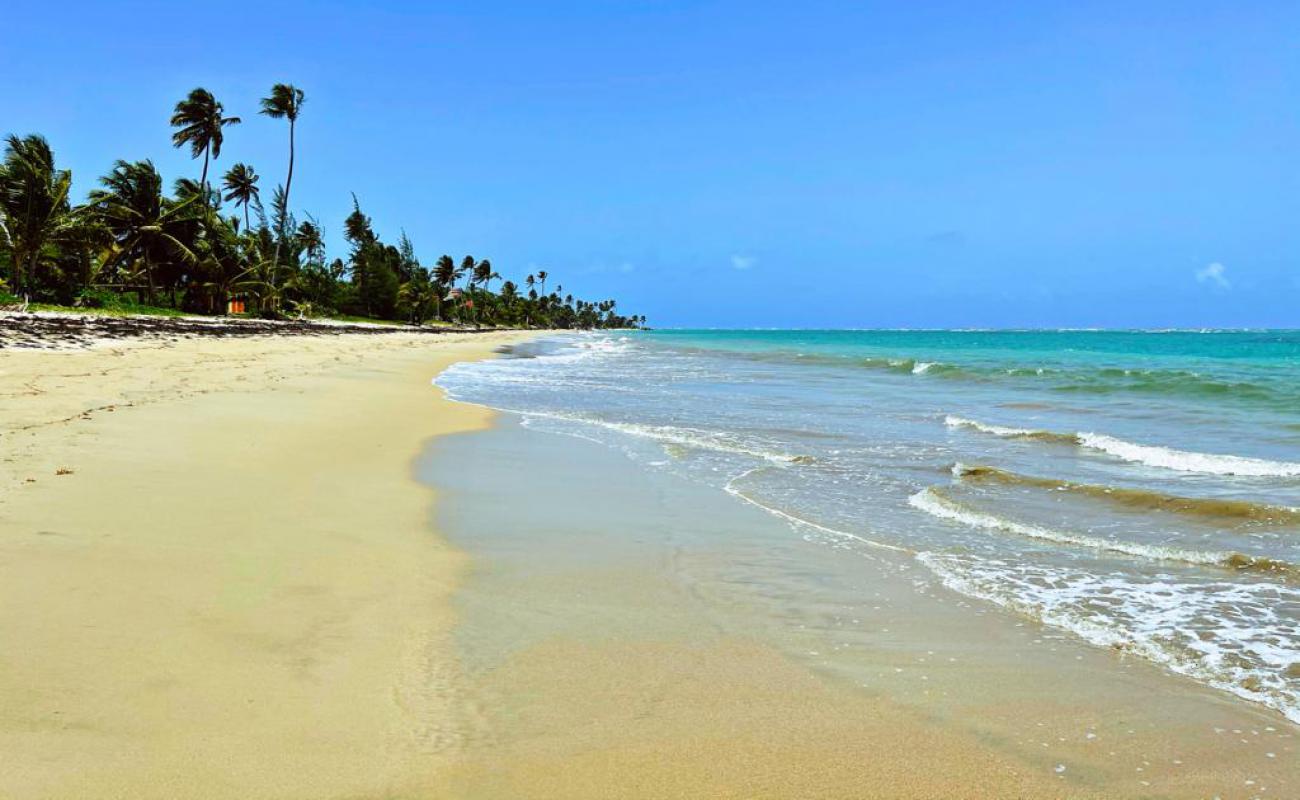 Foto af Playa Rio Grande med lys fint sand overflade