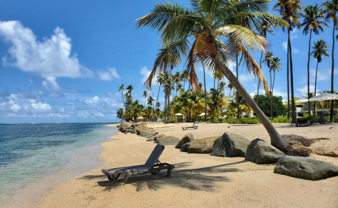 Foto af Punta Miquillo Strand med lys sand overflade