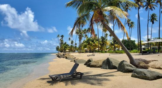 Punta Miquillo Strand