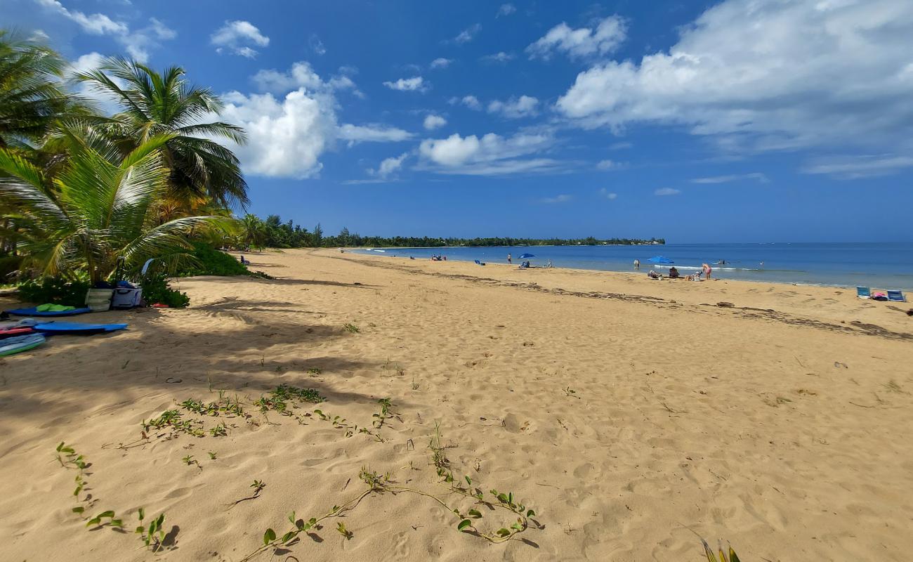 Foto af Playa las Picuas med lys sand overflade